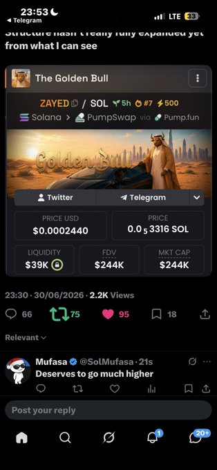 A Telegram post about 'The Golden Bull' memecoin (ZAYED/SOL) traded on Solana via PumpSwap/Pump.fun, showing a price of $0.0002440 and market cap of $244K.