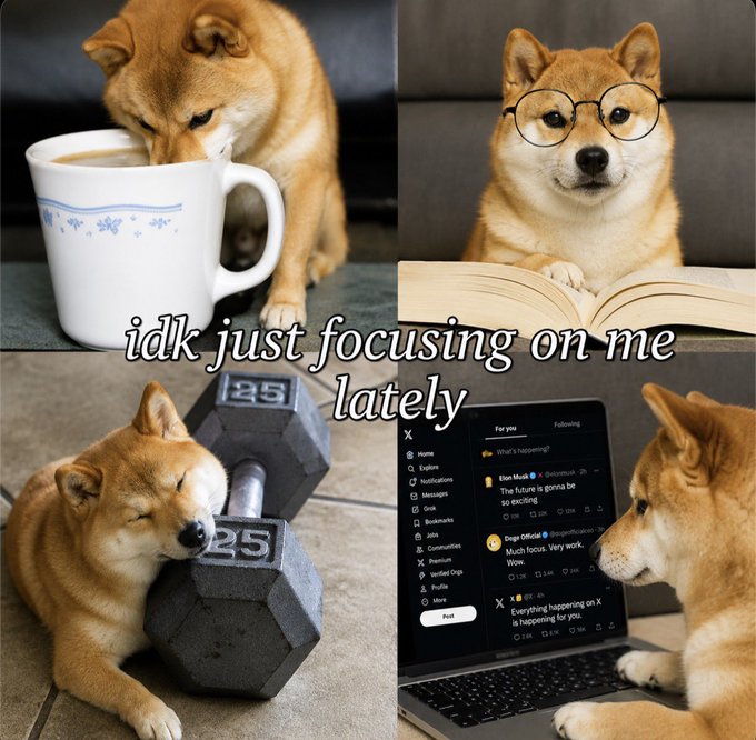 A four-panel meme featuring a Shiba Inu dog engaged in self-care activities (drinking from a mug, reading a book, sleeping on a dumbbell, and using a laptop), with the text 'idk just focusing on me lately'.