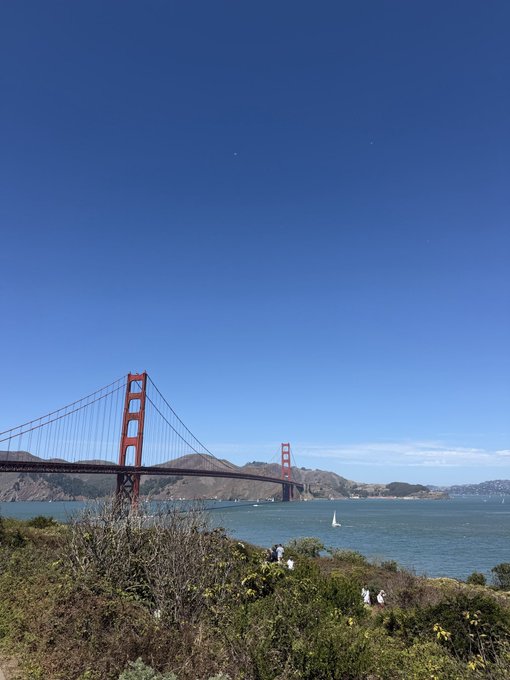 A scenic view of the Golden Gate Bridge on a clear, sunny day with a deep blue sky, seen from a hillside with greenery and a sailboat in the bay.