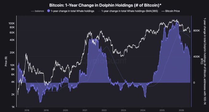 The image shows a graph comparing Bitcoin price changes over time with Dolphin hedging. The graph is set against a dark background, indicating the fluctuating nature of cryptocurrency prices. There are three lines on the graph, each representing different cryptocurrencies such as Bitcoin (BTC), Dogecoin (DOGE), and Ripple (XRP). 

In the image, we can see an upward trend in Bitcoin's price over time, while the Dolphin hedging line shows a decrease in price, suggesting that Bitcoin is outperforming its hedging counterpart. The XRP line remains relatively stable but not as highly appreciated compared to Bitcoin. Overall, the graph depicts how different cryptocurrencies are performing against the market's fluctuations.