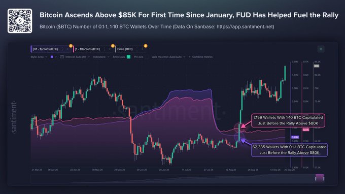 A Santiment chart titled 'Bitcoin Ascends Above $85K For First Time Since January, FUD Has Helped Fuel The Rally,' showing BTC price action with annotations for 0.1-1 and 1-10 BTC wallet counts around the recent rally above $80K.