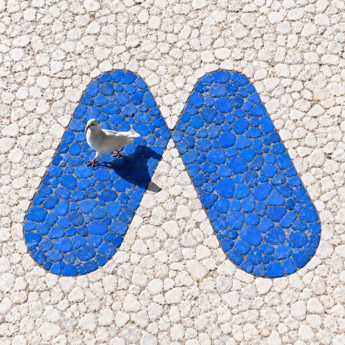 A seagull stands on a cobblestone surface where two large blue flip-flop imprints are painted, symbolizing a starting point or pathway. The image visually reinforces the message "Every journey starts with a signal," as the bird's placement on the painted sandals suggests the first step or cue to begin a meaningful path forward.