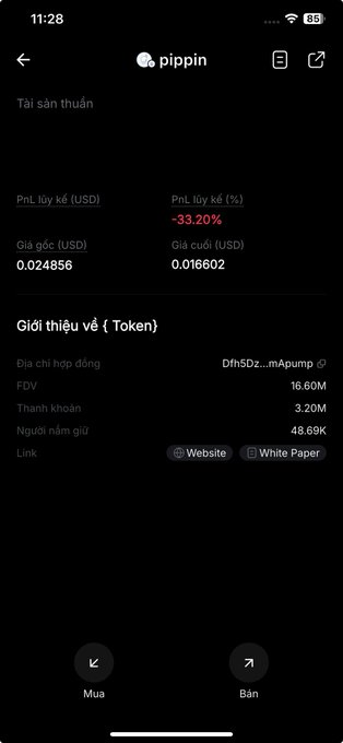 A Vietnamese crypto app screen showing token 'pippin' with PnL -33.20%, price $0.016602, FDV 16.60M, and market cap 3.20M.