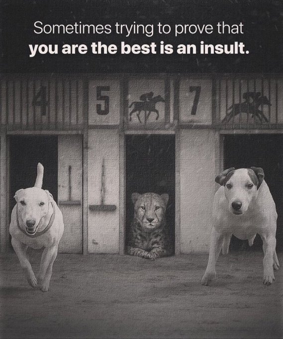A black and white image of a dog racing track numbered 4-5-6-7, with two dogs racing in front while a lion rests in stall 6, accompanied by the text: 'Sometimes trying to prove that you are the best is an insult.'