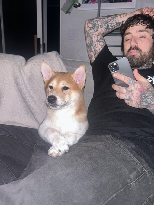 A tattooed man with a beard lounges on a couch looking at his phone while a Shiba Inu dog sits attentively beside him.
