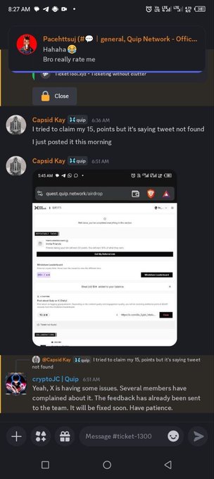 A Discord screenshot showing users Pacelttuj, Capsid Kay, and cryptoJC discussing a Quip Network airdrop issue where tweet verification is not working properly.