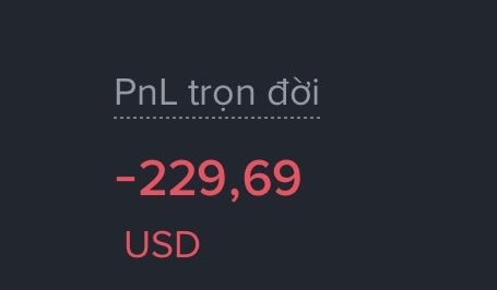 The image features a dark-colored screen with a red box that says "PnL tron d'", which translates to "Tron" in English, as well as numbers - 229,659 and currency symbol "$". The words "Chơi từ năm này qua năm khác Thế nào mà PnL nó lại vẫn cứ mãi không dương nổi @quipnetwork" describe a foreign online business, possibly a translation service.
