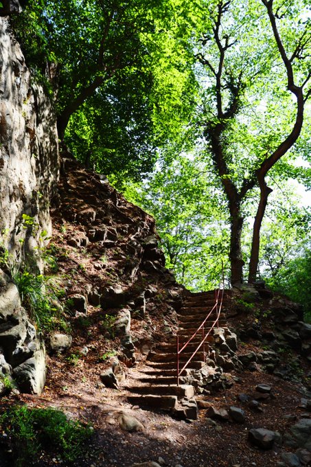 A sunlit forest path featuring stone steps with a red handrail going up a hillside, surrounded by lush green trees and rocky terrain.