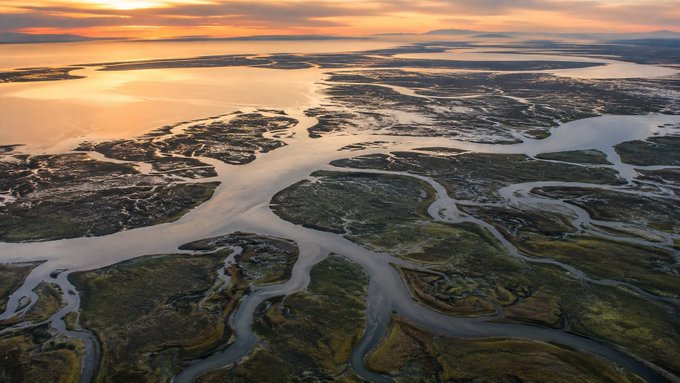Aerial view of a winding river delta at sunset, with golden light reflecting across the water and marshlands stretching off into the distance.

The image complements the post by visually evoking the idea of interconnected, flowing systems—much like how DeFi's liquidity, execution, tokenized assets, and AI agents are converging into a unified, branching network rather than isolated products.