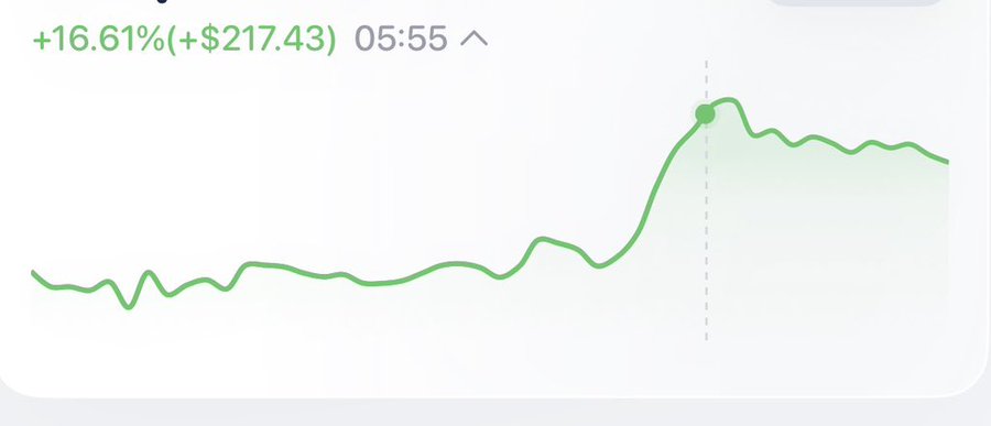 Stock chart snippet showing a green upward trend with '16.61%(+$217.43)' displayed in green text and a time marker at 05:55.