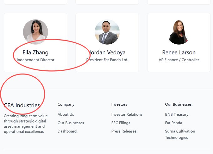 A screenshot of a corporate leadership page showing team members including Ella Zhang (Independent Director), Jordan Vedoya (President Fat Panda Ltd.), and Renee Larson (VP Finance/Controller), with CEA Industries and its business divisions highlighted.