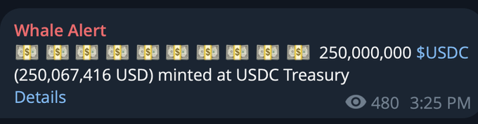 The image shows a "Whale Alert" notification displaying that 250,067,416 USDC (250 million USD) was minted at the USDC Treasury, with 480 views at 3:25 PM. This aligns with the post about Bessent issuing +250 million new dollars, confirming the fresh USDC minting on the blockchain.