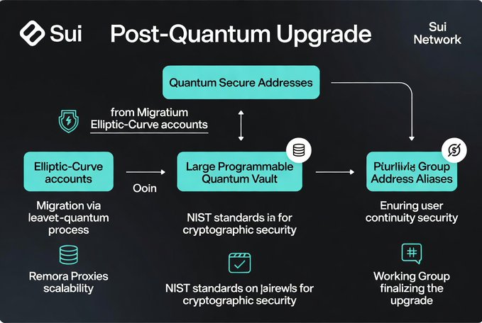 Technical diagram of the 'Sui Post-Quantum Upgrade,' detailing the migration of Elliptic-Curve accounts into a Large Programmable Quantum Vault to enable Quantum Secure Addresses and Group Address Aliases.