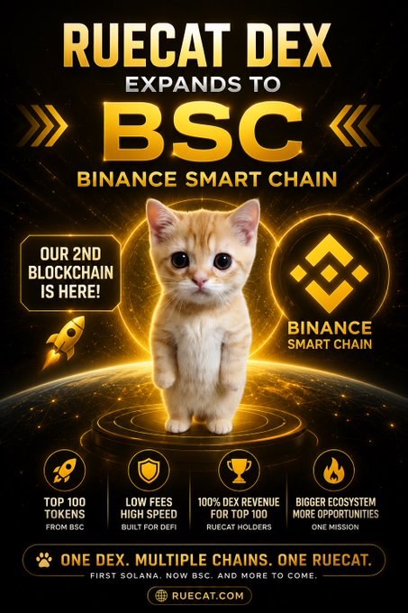 A promotional graphic announces "RUECAT DEX EXPANDS TO BSC BINANCE SMART CHAIN," featuring an orange kitten standing on a glowing platform with icons for "TOP 100 TOKENS FROM BSC," "LOW FEES HIGH SPEED," "100% DEX REVENUE FOR TOP 100 RUECAT HOLDERS," and "BIGGER ECOSYSTEM."