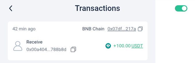 A screenshot of a crypto transaction confirmation on BNB Chain, showing a 'Receive' transaction of +100.00 USDT from address 0x00a404...788b8d 42 minutes ago.