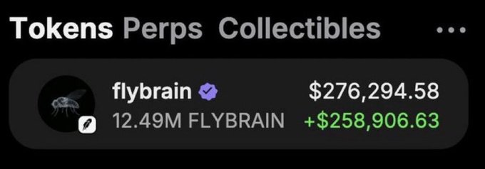 A dark-themed portfolio screenshot showing 'Tokens Perps Collectibles' with holdings in 'flybrain' (12.49M FLYBRAIN) valued at $276,294.58, showing a gain of +$258,906.63.