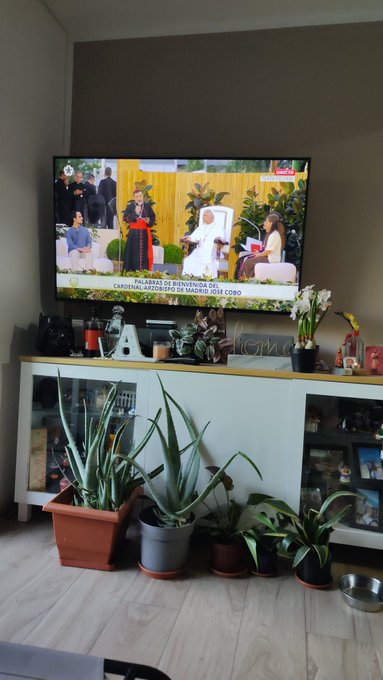 The image shows a living room with a flat screen TV mounted on the wall, displaying a news program featuring a woman speaking at an event. The television is placed next to a white cabinet that has several potted plants arranged around it. There are also two chairs in the scene - one near the left side of the frame and another closer to the center. A bowl can be seen resting on the floor, adding to the cozy atmosphere of the room.