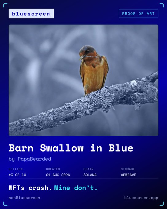 An NFT artwork titled "Barn Swallow in Blue" by PapaBearded, displayed on the Bluescreen platform with edition #3 of 10, dated 01 Aug 2026, on the Solana chain.