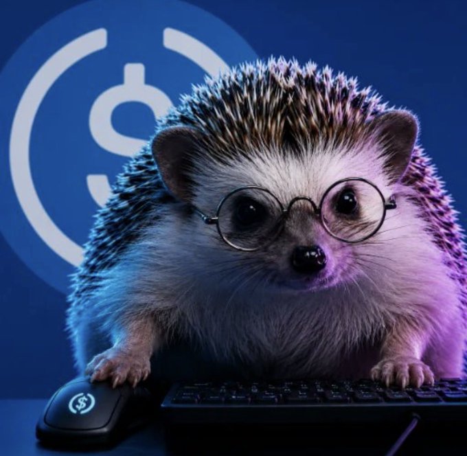 Digital illustration of a hedgehog wearing round black glasses, sitting at a glowing keyboard and mouse with a USDC logo, set against a blue background with a large USDC symbol.