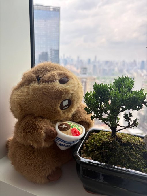 A fluffy brown stuffed groundhog plush sits on a windowsill holding a tiny bowl of ramen, posed next to a small potted bonsai tree with a city skyline visible through the window behind. The image embodies the "King George and his new bonsai" narrative referenced in the caption, visually establishing the Fomo Groundhog ($GEORGE) mascot alongside its iconic bonsai companion.