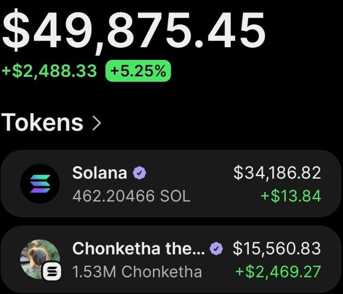 A crypto wallet screenshot shows a total portfolio value of $49,875.45, up $2,488.33 (+5.25%), with holdings of 462.20466 SOL valued at $34,186.82 and 1.53M Chonketha tokens valued at $15,560.83. The image illustrates the accompanying post's claim of massive profits on the $Chonketha memecoin, showcasing the current $15,600 holding value as proof of the 254x gain from the original $147 investment.