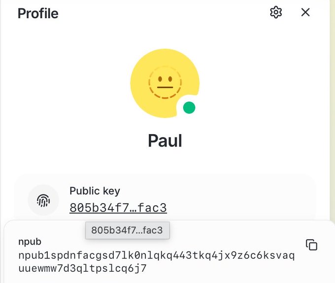 A Nostr profile screen for "Paul" displays his public key "805b34f7...fac3" and full npub address "npub1spdnfacgsd71k0nlqkq443tkq4jx9z6c6ksvaquuewmw7d3qltpslcq6j7," illustrating the active use of the Nostr protocol highlighted in the post.