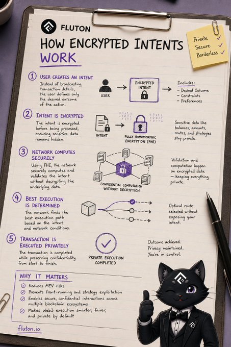 An infographic on a clipboard by Fluton titled 'How Encrypted Intents Work' outlines a 5-step process (User Creates an Intent, Intent is Encrypted, Network Computes Securely, Best Execution Determined, Transaction Executed Privately) with a 'Private Secure Borderless' sticky note and a black cat mascot in a tuxedo, citing fluton.io.