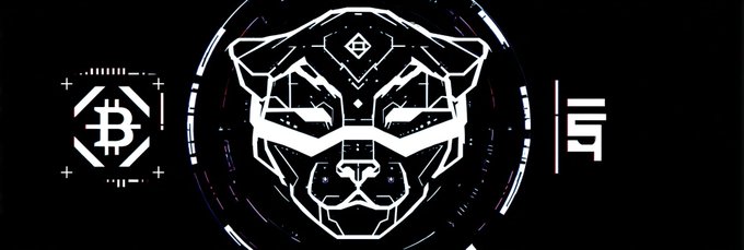 A digital graphic featuring a geometric tiger head design in the center, flanked by a Bitcoin logo on the left and the '百' (hundred) character on the right, all set against a dark background.