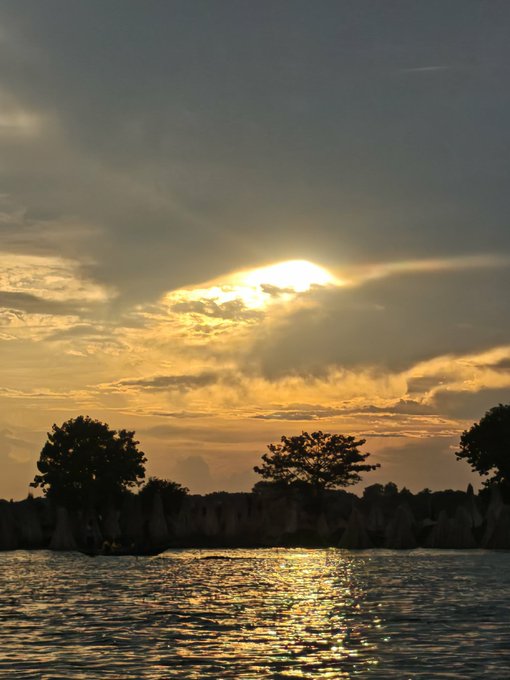 A scenic sunset over a body of water, silhouetting trees along the horizon with sun rays breaking through dramatic clouds.