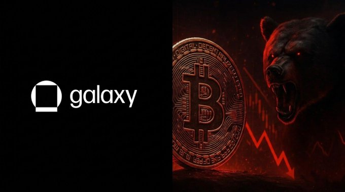 A split image with the "galaxy" logo on a black background on the left, and an illustration of a roaring black bear beside a Bitcoin coin with a downward red arrow on the right.