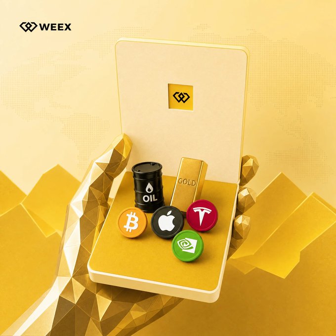 The image, branded with "WEEX," shows a golden box filled with various investment asset tokens including Bitcoin (₿), Apple, Tesla, NVIDIA, OIL, and GOLD bars, surrounded by gold bars on a world map background. It visually represents the "Just Hodl firm" mantra by showcasing a diversified portfolio of crypto, stocks, commodities, and gold — emphasizing holding strong across multiple asset classes.
