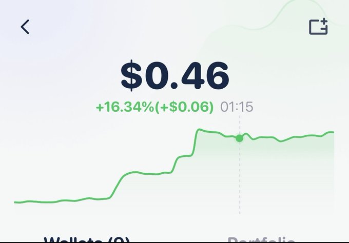 A financial tracking screen displaying a balance of $0.46, up +16.34% (+$0.06) over 01:15, with a green upward-trending line graph.