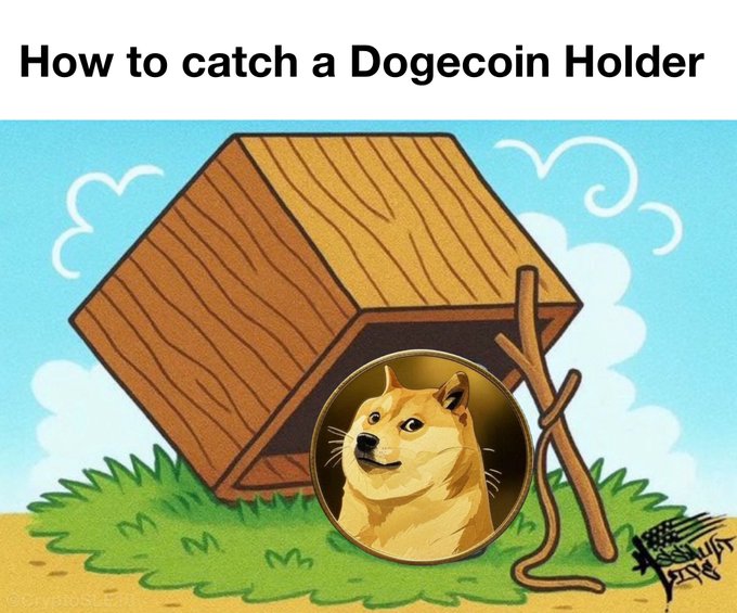 The image features a cartoon depiction of a dog inside a wooden box, with a stick attached to the side of the box. The caption below the image reads "How to catch a DOGE coin holder", suggesting that the image is related to the concept of catching and storing digital currency in the form of dog coins.