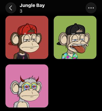 A mobile app screen titled "Jungle Bay" displaying a collection of three cartoon monkey NFT avatars with different accessories and colorful backgrounds.