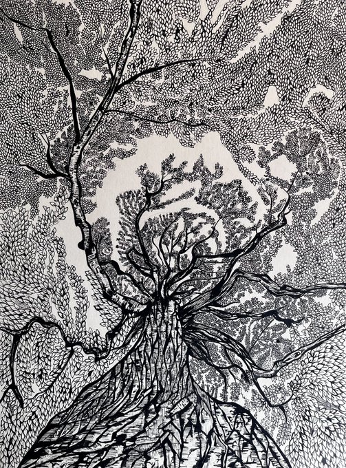 A detailed black and white ink drawing shows a massive, intricate tree with sprawling branches, leaves, and exposed roots, viewed from below.