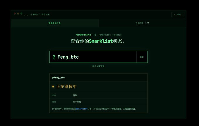 A terminal interface displaying the snarklist status check page at zksnarks.net, showing the username "@Feng_btc" under review ("正在审核中") for a Snarklist application on the ZEC chain NFT project.