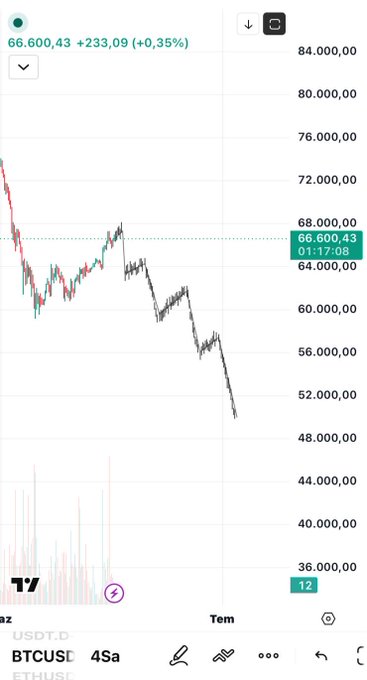 The image shows a graph of Bitcoin prices over time, with a downward trend visible from 66,000 to 2,800. The text in the image suggests that Bitcoin will likely remain low for some time before increasing again. This information can be useful for those interested in investing or tracking Bitcoin's performance.