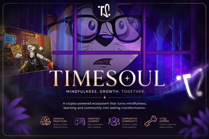 A promotional banner for "TIMESOUL" featuring a meditative owl character behind a window at night, with the tagline "MINDFULNESS. GROWTH. TOGETHER." and four feature icons (Mindful Practices, Gamified Journey, Supportive Community, NFT Access) highlighting its crypto-powered wellness ecosystem where NFTs unlock ongoing meditation and mindfulness experiences—aligning with the post's message about Web3 expanding beyond speculation into meaningful, wellness-focused applications.