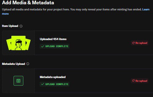 A user interface screen titled 'Add Media & Metadata' showing 454 items uploaded successfully and metadata upload complete, with options to re-upload.