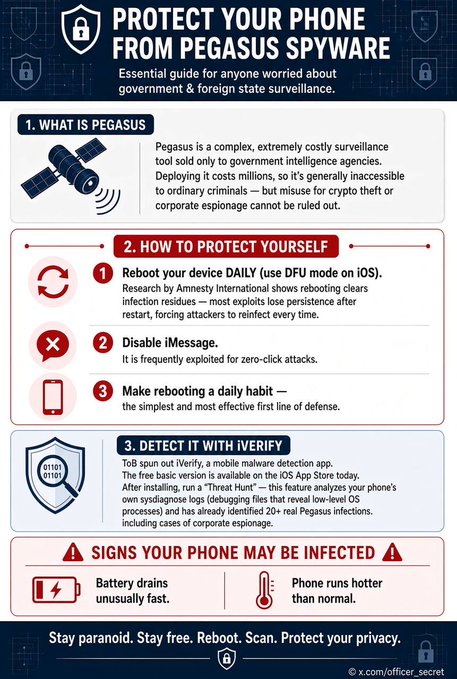 **Caption:** An infographic titled "Protect Your Phone from Pegasus Spyware" detailing what Pegasus is, how to defend against it (daily reboots, disabling iMessage, using Apple's DFU mode), and detection via the iVerify app, with warning signs including rapid battery drain and overheating.

**Relation to the post:** The image visually reinforces the post's warning about Pegasus as elite, government-grade spyware by providing actionable protection tips and detection methods, expanding on the user's mention of misuse risks like crypto theft beyond ordinary criminals.