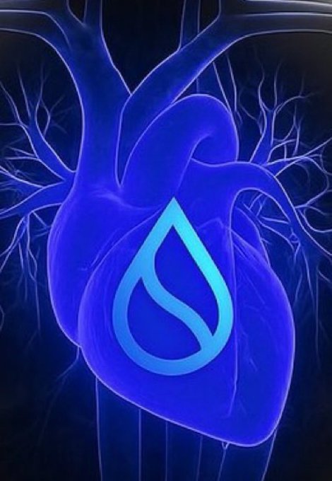 The image features a 3D rendering of an artificial heart, which has been modified with a blue water droplet symbol. The caption below the image reads "GM CT Happy Sunday Y’all Guess what the doctor found in my heart?... $SUI". This suggests that there is some sort of medical issue or discovery related to the heart, possibly involving the presence of a water droplet within it.

The image also includes a watermark at the bottom, which reads "© GM CT Happy Sunday Y'all Guess what the doctor found in my heart?... $SUI". This indicates that the image is likely part of a larger collection or series related to medical topics or conditions.