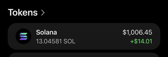 A mobile cryptocurrency wallet interface showing a balance of 13.04581 SOL, with the Solana token price listed at $1,006.45 and a daily gain of +$14.01.