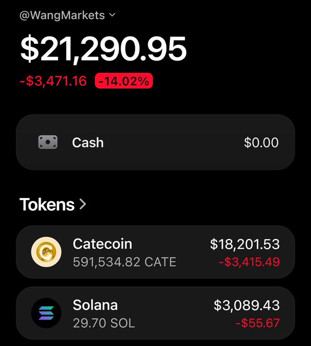 The image shows @WangMarkets’ crypto portfolio totaling $21,290.95, down $3,471.16 (-14.02%), with $0 cash, 591,534.82 CATE worth $18,201.53, and 29.70 SOL worth $3,089.43. It visually supports the post’s claim that $CATE has had a life-changing portfolio impact while asking followers to like, retweet, and share their $SOL address.