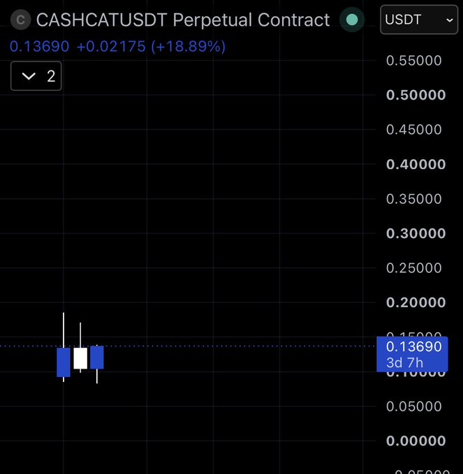 A trading chart for the CASHCATUSDT Perpetual Contract showing a current price of 0.13690 (+18.89%) with candlesticks and a '3d 7h' time indicator.