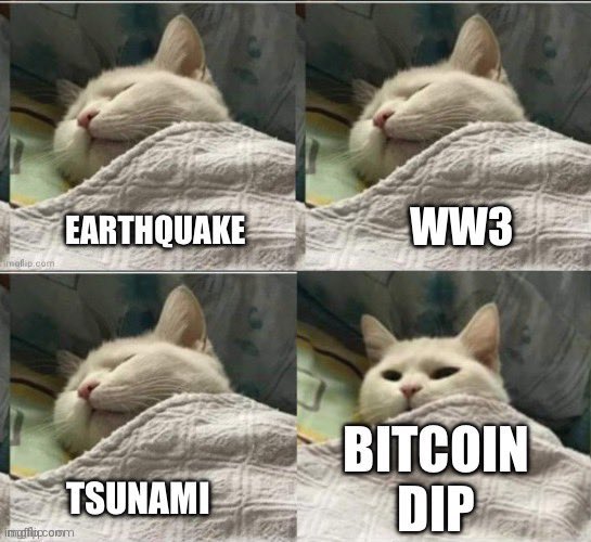 A four-panel meme featuring a sleeping white cat tucked under a blanket; the panels are labeled 'EARTHQUAKE', 'WW3', 'TSUNAMI', and 'BITCOIN DIP', with the cat only opening its eyes in the final panel.