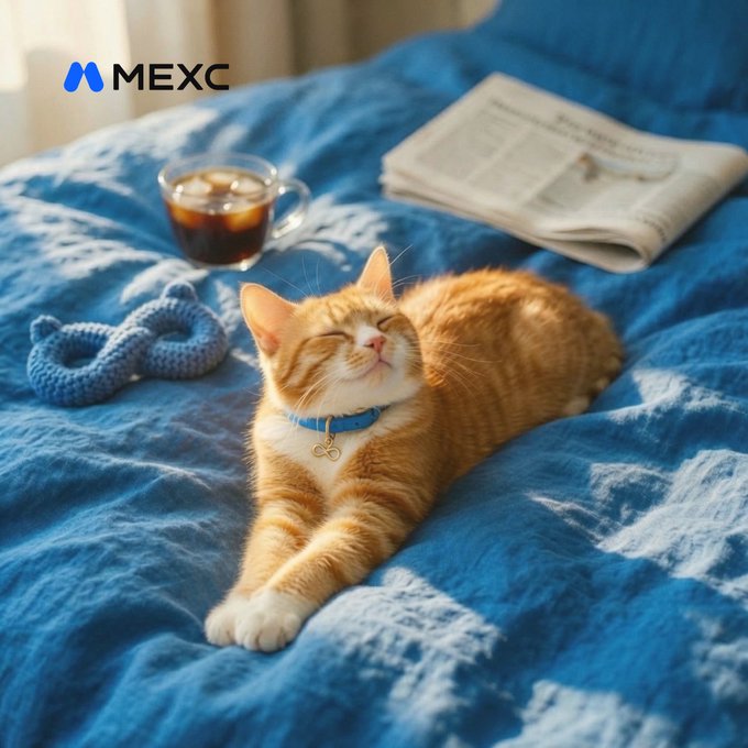 An orange tabby cat lounges contentedly on a blue blanket alongside a cup of coffee, a newspaper, and a knit toy, soaking in the warm sunlight. The "MEXC" logo appears in the top-left corner, tying into the post's playful theme where the cat's blissful sunbathing is humorously compared to crypto enthusiasts' preference for sunny vibes over "green candles."
