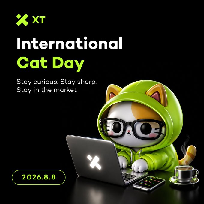 A promotional graphic for International Cat Day (2026.8.8) features a 3D-rendered cat wearing glasses and a green hoodie, focused on a laptop with the XT logo, alongside a coffee cup and phone. The XT-branded design includes the tagline "Stay curious. Stay sharp. Stay in the market," visually tying the patient's, observant nature of a cat to successful trading timing.