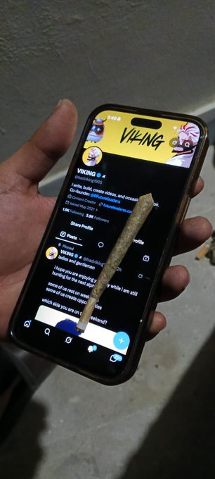 A hand holds a smartphone displaying the VIKING cryptocurrency Twitter/X profile, with a joint/blunt resting on the screen.