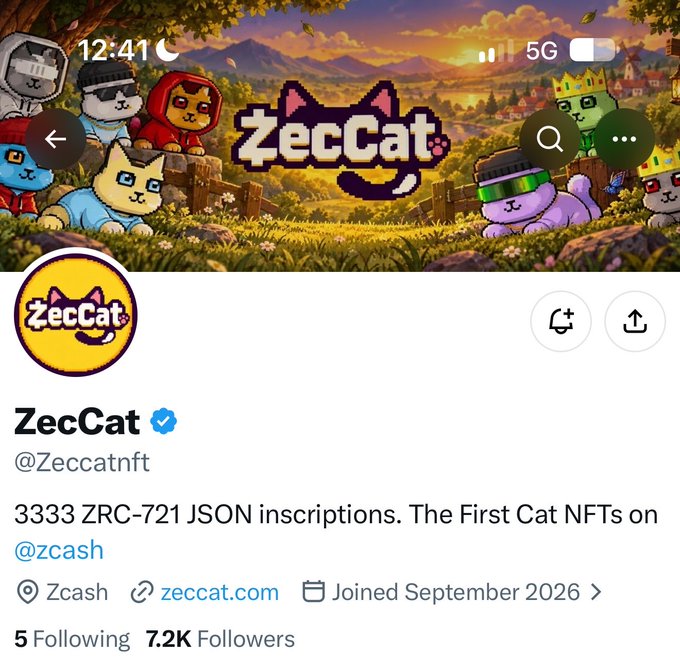 The image shows the Twitter/X profile page of **@Zeccatnft** ("ZecCat"), highlighting 3,333 ZRC-721 JSON inscriptions as "The First Cat NFTs on Zcash." The accompanying post promotes securing an allocation of this 3,333-supply ZecCat NFT collection for the community amid growing attention on Zcash.