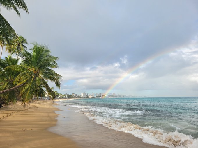A tropical beach scene features palm trees lining golden sand, with gentle waves rolling in and a vibrant rainbow arching across a cloudy sky toward a distant city skyline, evoking the blissful "life after" the Rainbet sponsorship.
